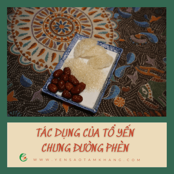 tác dụng của tổ yến chưng đường phèn