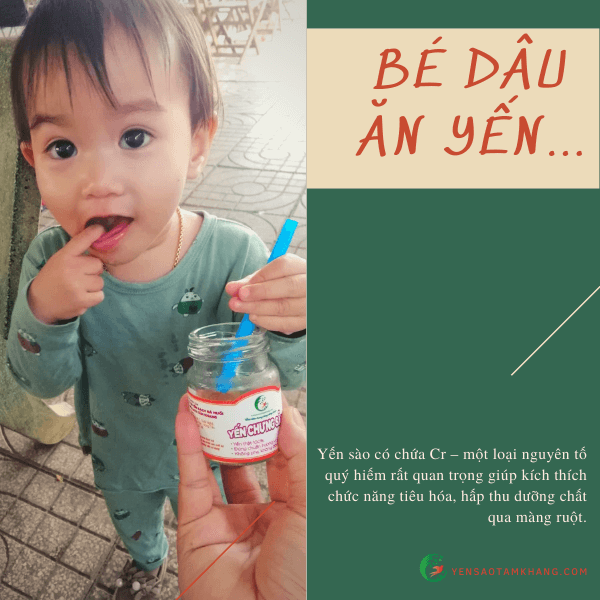 yến chưng và tác dụng của nó