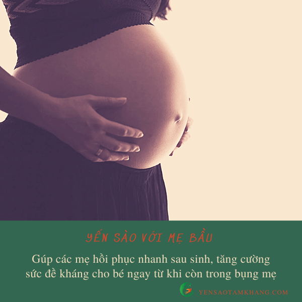 tác dụng của tổ yến chưng đường phèn