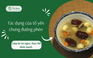 yến chưng đường phèn