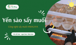 yến sấy muối
