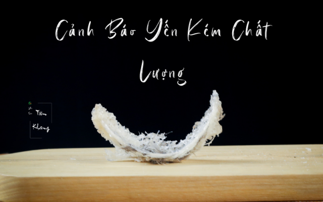 cảnh báo chiêu trò làm yến kém chất lượng