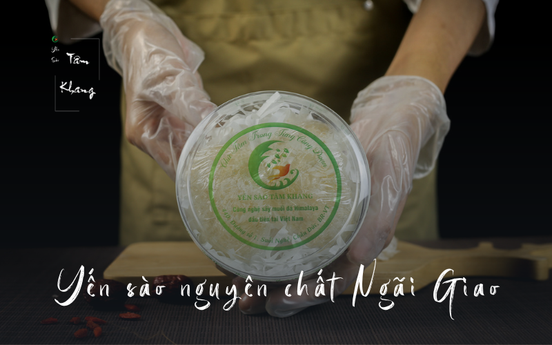 Cơ sở cung cấp yến sào Ngãi Giao chất lượng nhất